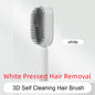 Self Cleaning Hair Brush For Women